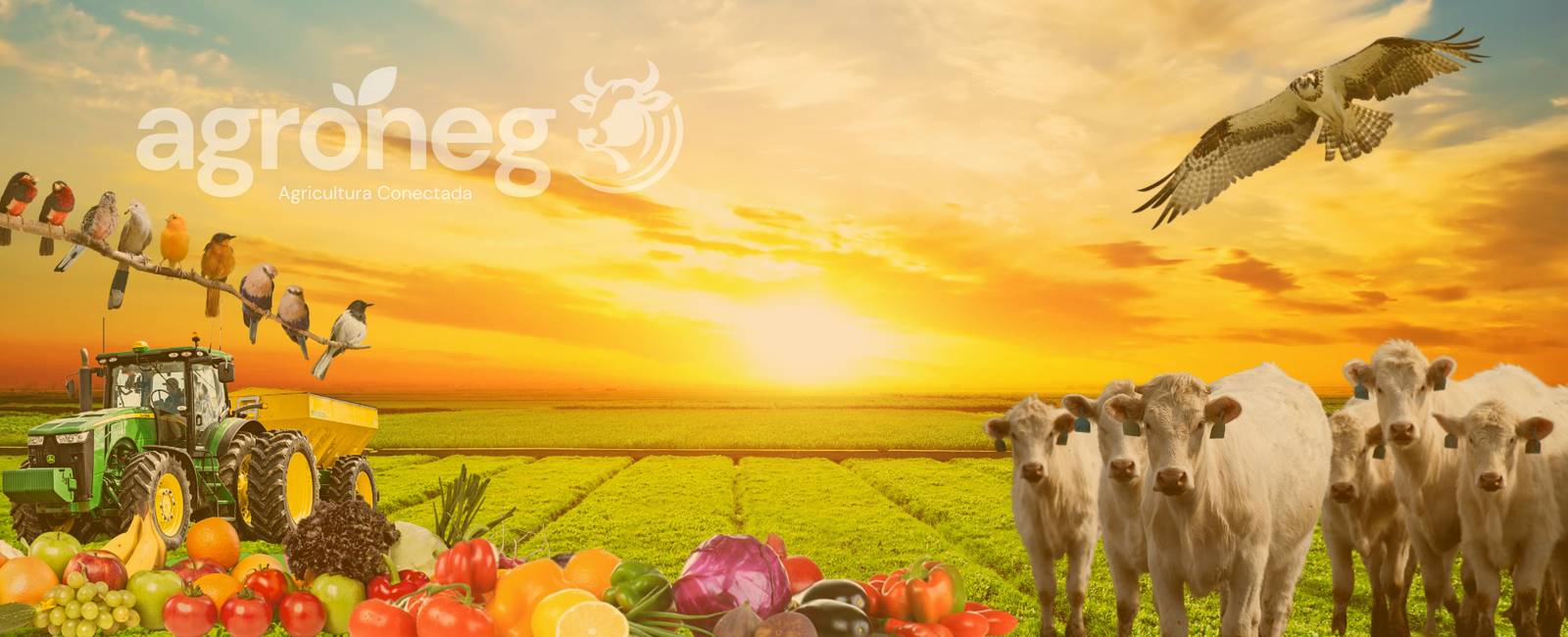 Banner AgroNeg